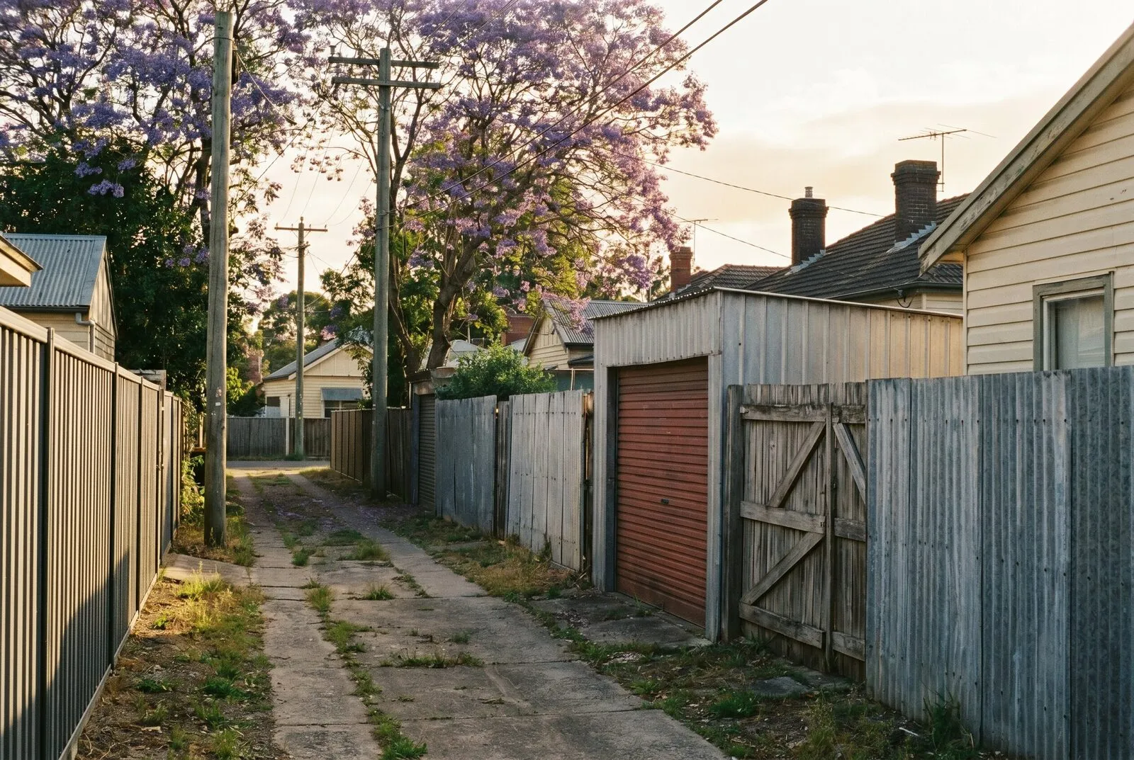 A rear service lane in Mayfield with corrugated iron fences and an old roller door opening onto the lane